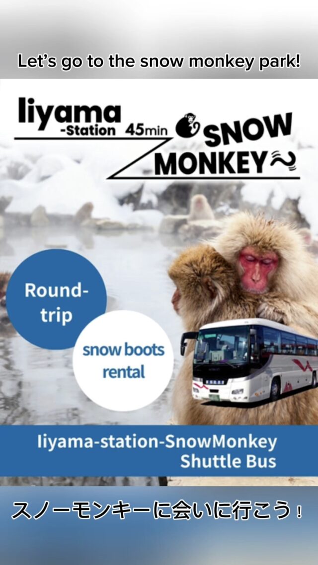 Winter vibes only! 🐒♨️❄️Experience the magic of the Japanese Snow Monkeys with the Iiyama Monkey Bus.✅ Round-trip shuttle from Iiyama Station ✅ Snow boots rental included! ✅ Only 2 hours from TokyoHurry! Bookings are open until Feb 20th. 🏃‍♂️💨👉 https://skibus.jp/snowmonkey/#SnowMonkey #JapanWinter #Nagano #BucketList #Iiyama #TravelJapan